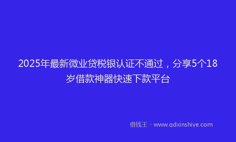 2025年最新微业贷税银认证不通过，分享5个18岁借款神器快速下款平台