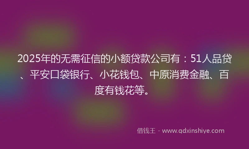 2025年的无需征信的小额贷款公司有：51人品贷、平安口袋银行、小花钱包、中原消费金融、百度有钱花等。