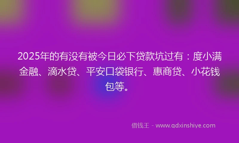 2025年的有没有被今日必下贷款坑过有：度小满金融、滴水贷、平安口袋银行、惠商贷、小花钱包等。