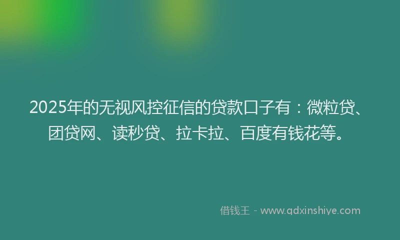 2025年的无视风控征信的贷款口子有：微粒贷、团贷网、读秒贷、拉卡拉、百度有钱花等。