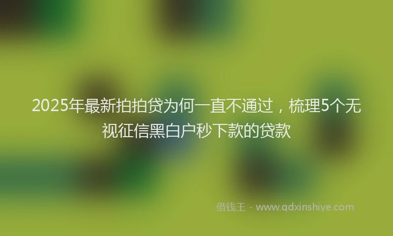 2025年最新拍拍贷为何一直不通过，梳理5个无视征信黑白户秒下款的贷款