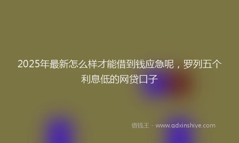 2025年最新怎么样才能借到钱应急呢，罗列五个利息低的网贷口子