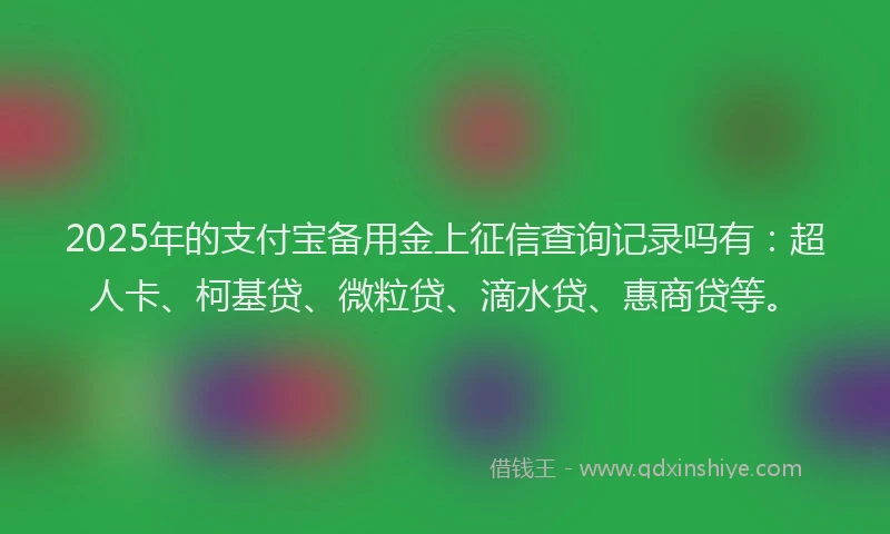 2025年的支付宝备用金上征信查询记录吗有：超人卡、柯基贷、微粒贷、滴水贷、惠商贷等。