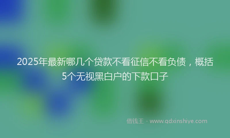 2025年最新哪几个贷款不看征信不看负债，概括5个无视黑白户的下款口子