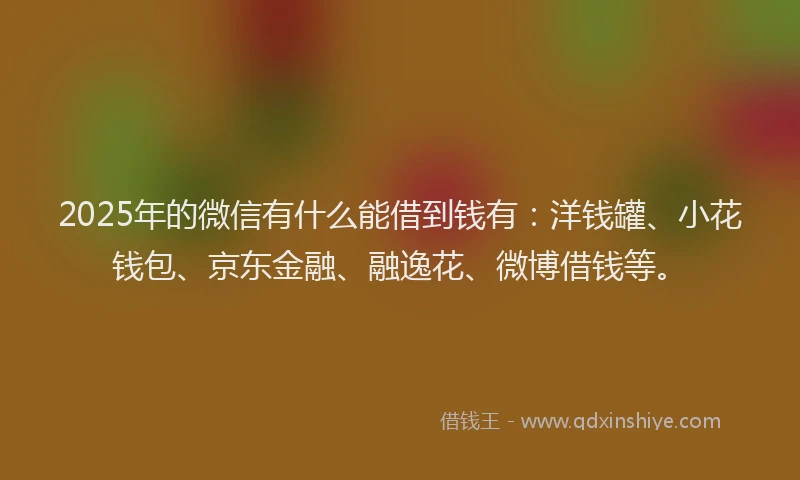 2025年的微信有什么能借到钱有：洋钱罐、小花钱包、京东金融、融逸花、微博借钱等。