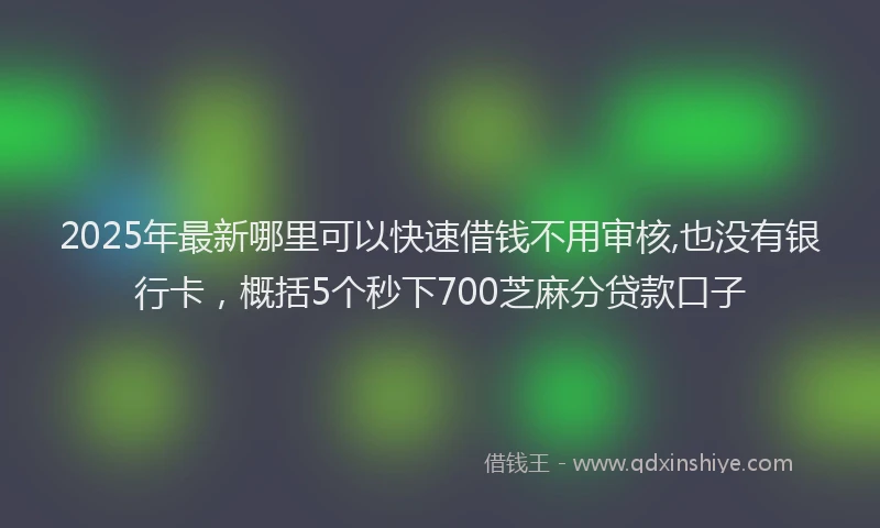 2025年最新哪里可以快速借钱不用审核,也没有银行卡，概括5个秒下700芝麻分贷款口子
