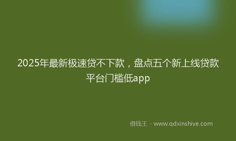 2025年最新极速贷不下款，盘点五个新上线贷款平台门槛低app