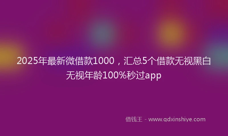 2025年最新微借款1000，汇总5个借款无视黑白无视年龄100%秒过app