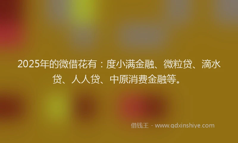 2025年的微借花有：度小满金融、微粒贷、滴水贷、人人贷、中原消费金融等。