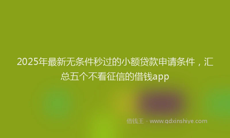 2025年最新无条件秒过的小额贷款申请条件，汇总五个不看征信的借钱app