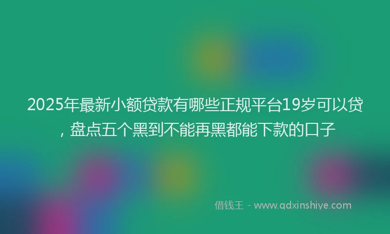 2025年最新小额贷款有哪些正规平台19岁可以贷，盘点五个黑到不能再黑都能下款的口子