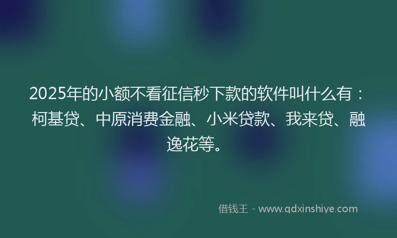 2025年的小额不看征信秒下款的软件叫什么有：柯基贷、中原消费金融、小米贷款、我来贷、融逸花等。