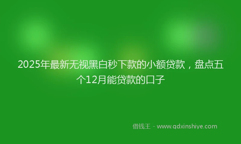 2025年最新无视黑白秒下款的小额贷款，盘点五个12月能贷款的口子