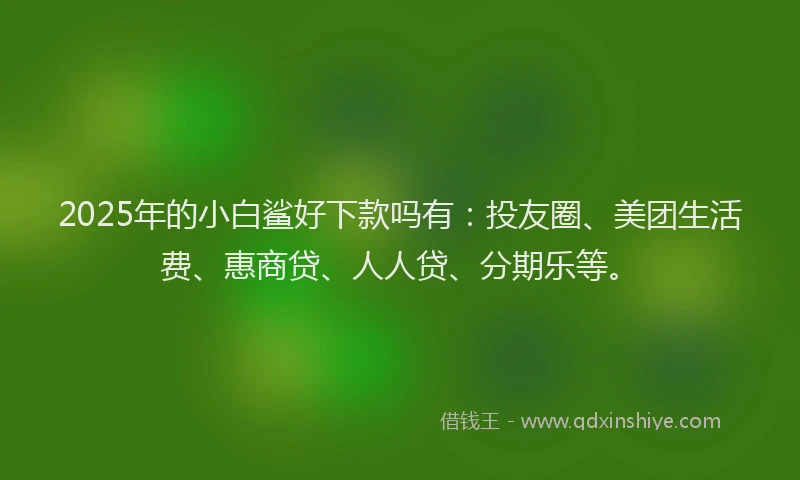 2025年的小白鲨好下款吗有：投友圈、美团生活费、惠商贷、人人贷、分期乐等。