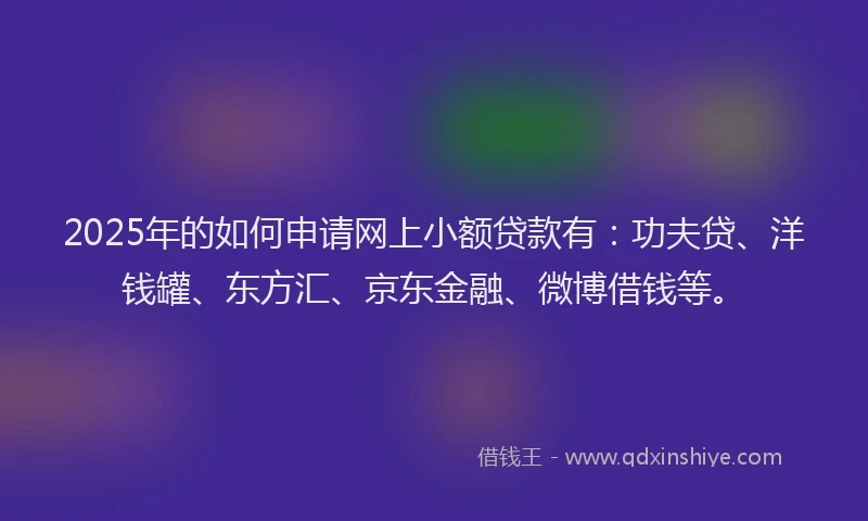 2025年的如何申请网上小额贷款有：功夫贷、洋钱罐、东方汇、京东金融、微博借钱等。