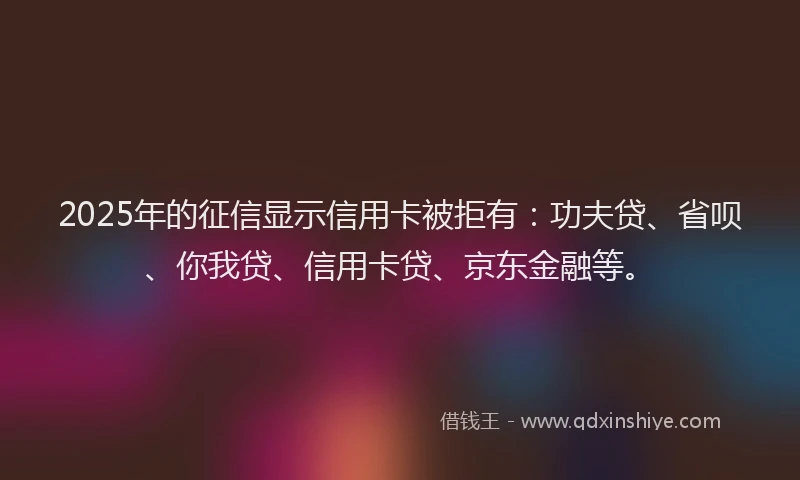 2025年的征信显示信用卡被拒有：功夫贷、省呗、你我贷、信用卡贷、京东金融等。