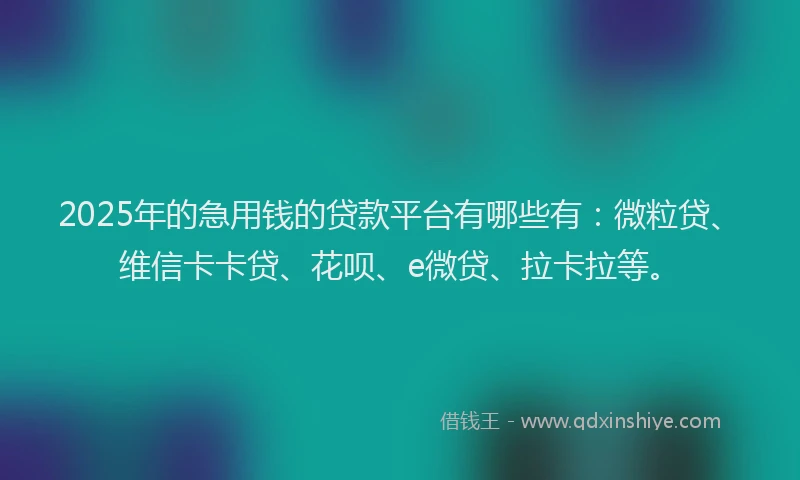 2025年的急用钱的贷款平台有哪些有：微粒贷、维信卡卡贷、花呗、e微贷、拉卡拉等。
