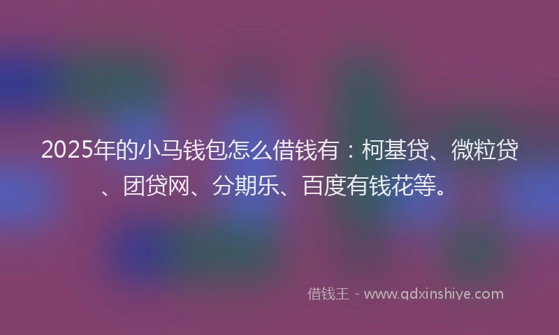2025年的小马钱包怎么借钱有：柯基贷、微粒贷、团贷网、分期乐、百度有钱花等。