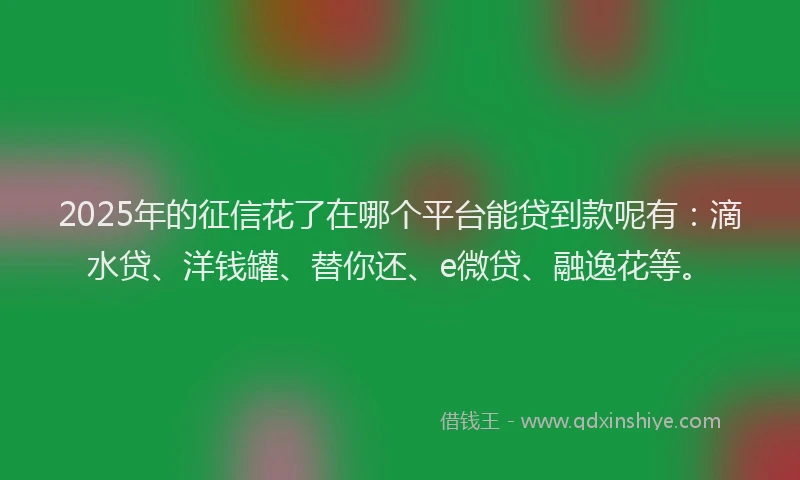 2025年的征信花了在哪个平台能贷到款呢有：滴水贷、洋钱罐、替你还、e微贷、融逸花等。