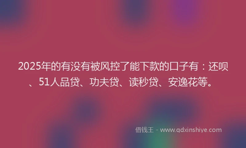2025年的有没有被风控了能下款的口子有：还呗、51人品贷、功夫贷、读秒贷、安逸花等。