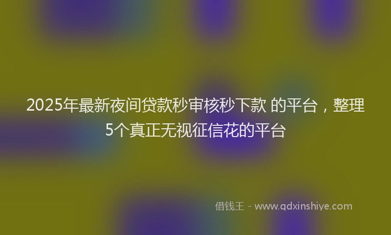 2025年最新夜间贷款秒审核秒下款 的平台，整理5个真正无视征信花的平台