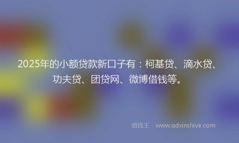 2025年的小额贷款新口子有：柯基贷、滴水贷、功夫贷、团贷网、微博借钱等。