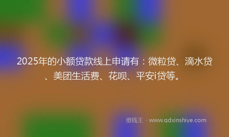 2025年的小额贷款线上申请有：微粒贷、滴水贷、美团生活费、花呗、平安i贷等。