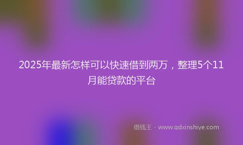 2025年最新怎样可以快速借到两万，整理5个11月能贷款的平台