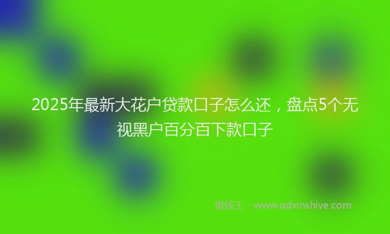 2025年最新大花户贷款口子怎么还，盘点5个无视黑户百分百下款口子