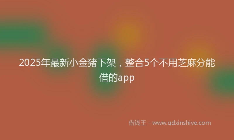 2025年最新小金猪下架，整合5个不用芝麻分能借的app