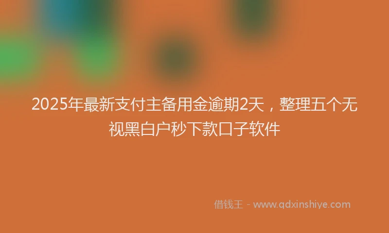 2025年最新支付主备用金逾期2天，整理五个无视黑白户秒下款口子软件