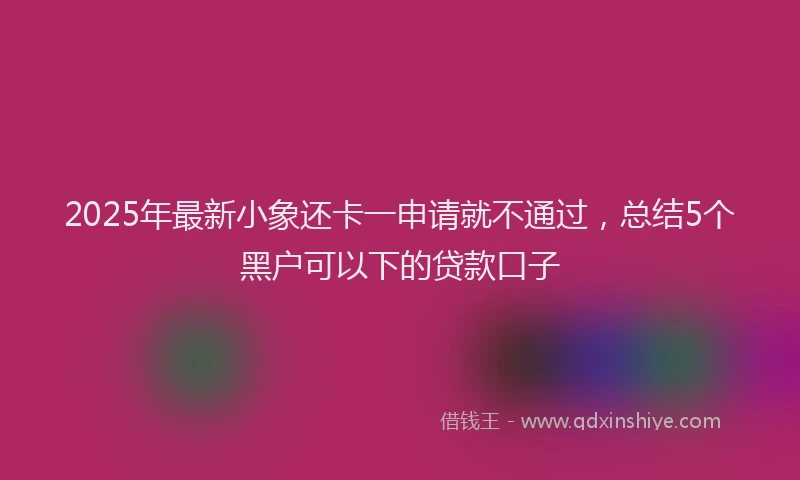 2025年最新小象还卡一申请就不通过，总结5个黑户可以下的贷款口子
