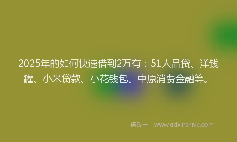 2025年的如何快速借到2万有：51人品贷、洋钱罐、小米贷款、小花钱包、中原消费金融等。