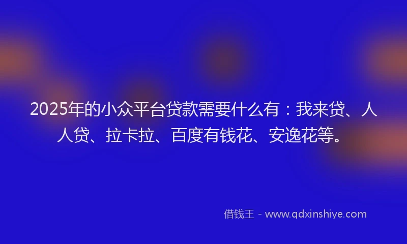 2025年的小众平台贷款需要什么有：我来贷、人人贷、拉卡拉、百度有钱花、安逸花等。