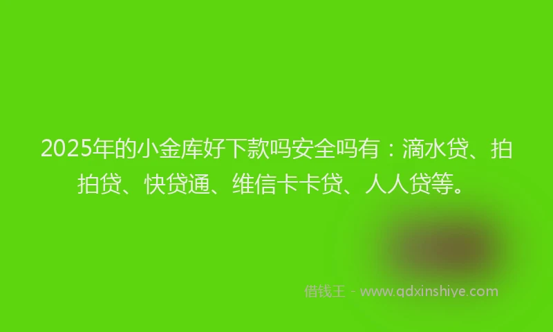 2025年的小金库好下款吗安全吗有：滴水贷、拍拍贷、快贷通、维信卡卡贷、人人贷等。