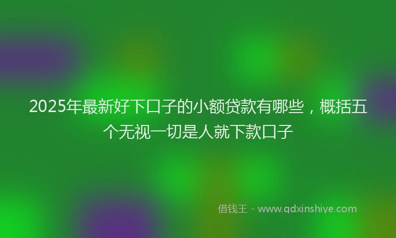 2025年最新好下口子的小额贷款有哪些，概括五个无视一切是人就下款口子