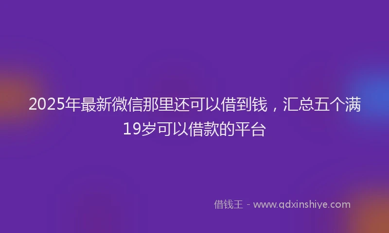 2025年最新微信那里还可以借到钱，汇总五个满19岁可以借款的平台