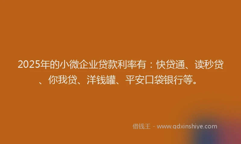 2025年的小微企业贷款利率有：快贷通、读秒贷、你我贷、洋钱罐、平安口袋银行等。