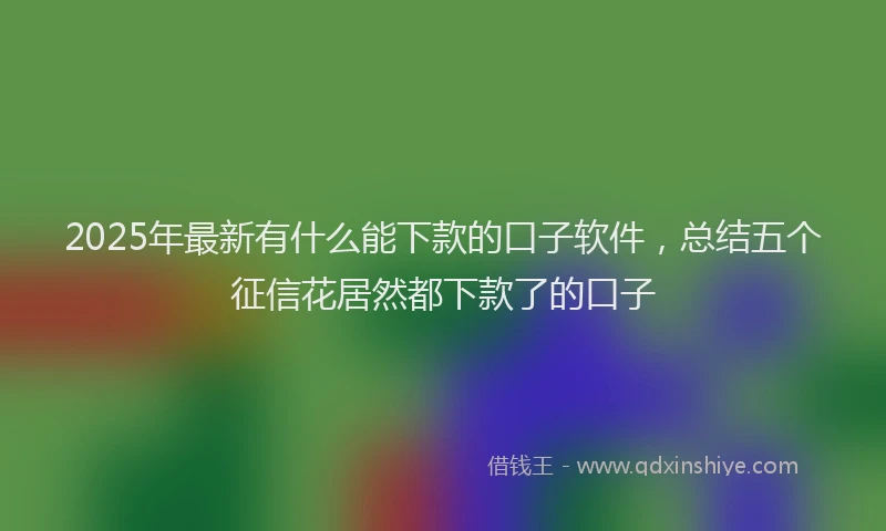 2025年最新有什么能下款的口子软件，总结五个征信花居然都下款了的口子