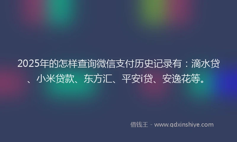 2025年的怎样查询微信支付历史记录有：滴水贷、小米贷款、东方汇、平安i贷、安逸花等。