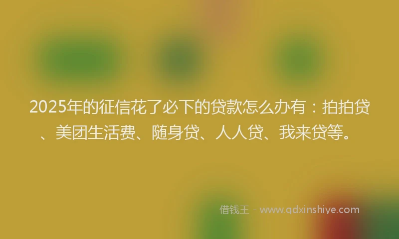 2025年的征信花了必下的贷款怎么办有：拍拍贷、美团生活费、随身贷、人人贷、我来贷等。