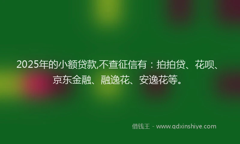 2025年的小额贷款,不查征信有：拍拍贷、花呗、京东金融、融逸花、安逸花等。