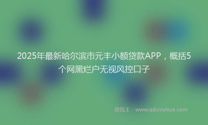 2025年最新哈尔滨市元丰小额贷款APP，概括5个网黑烂户无视风控口子