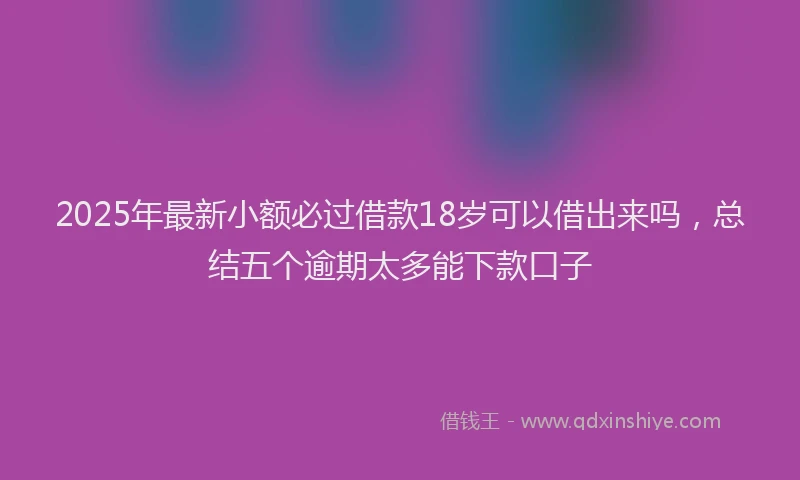 2025年最新小额必过借款18岁可以借出来吗，总结五个逾期太多能下款口子