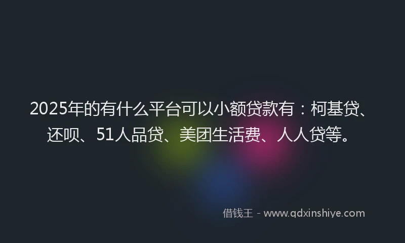 2025年的有什么平台可以小额贷款有：柯基贷、还呗、51人品贷、美团生活费、人人贷等。
