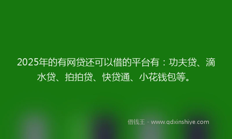 2025年的有网贷还可以借的平台有：功夫贷、滴水贷、拍拍贷、快贷通、小花钱包等。