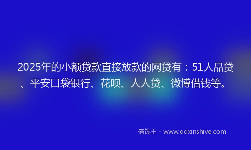 2025年的小额贷款直接放款的网贷有：51人品贷、平安口袋银行、花呗、人人贷、微博借钱等。