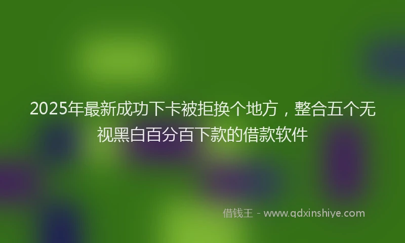 2025年最新成功下卡被拒换个地方，整合五个无视黑白百分百下款的借款软件