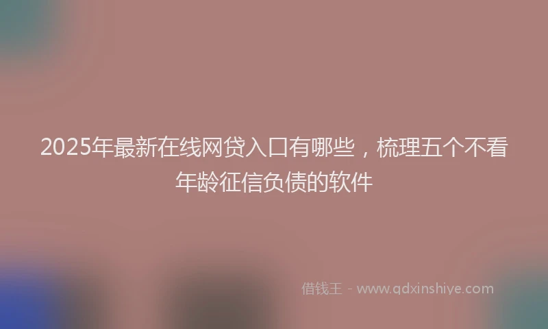 2025年最新在线网贷入口有哪些，梳理五个不看年龄征信负债的软件