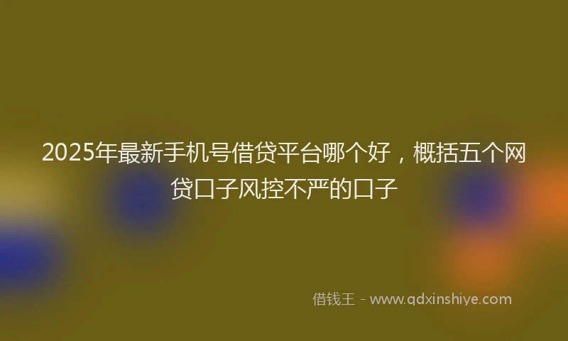 2025年最新手机号借贷平台哪个好，概括五个网贷口子风控不严的口子